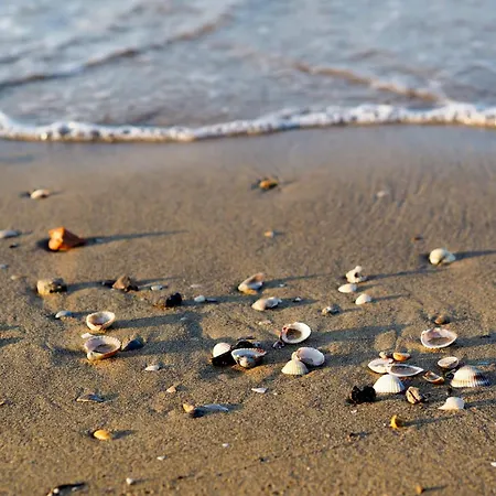 In 35338 Appartamento